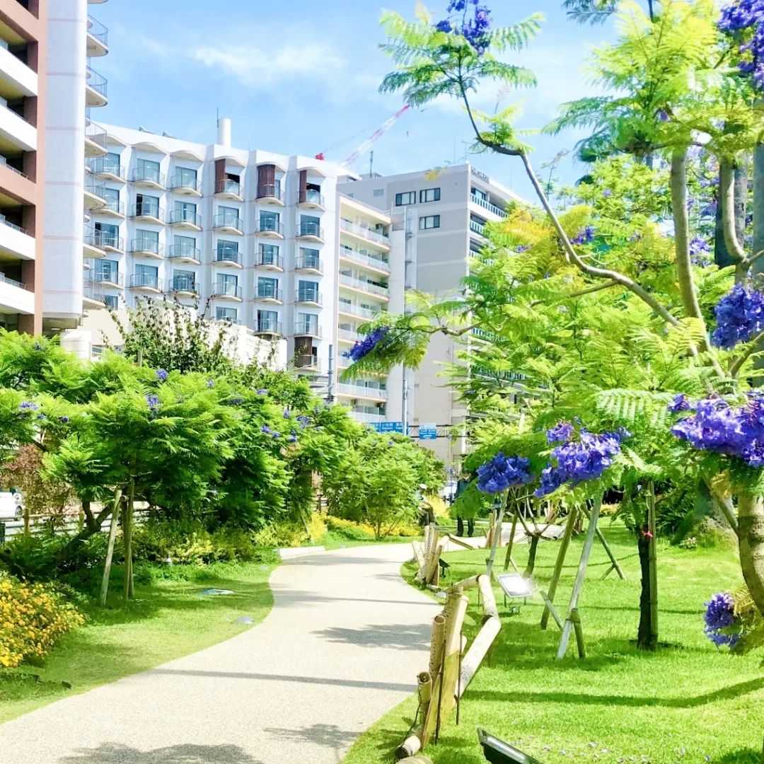 ATAMIジャカランダフェスティバル2025