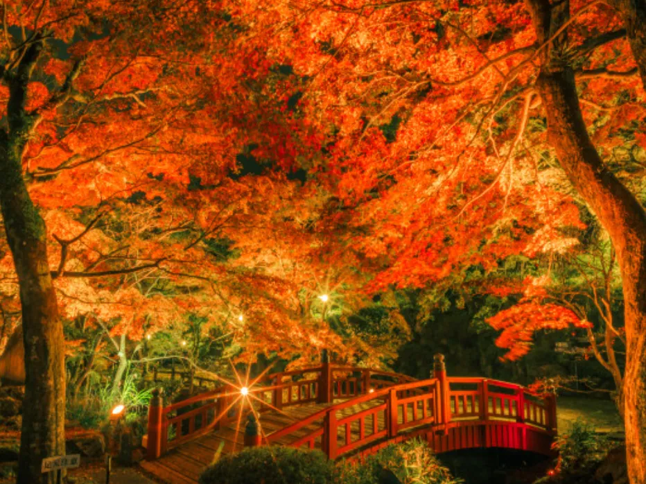 熱海梅園もみじまつり（2025）